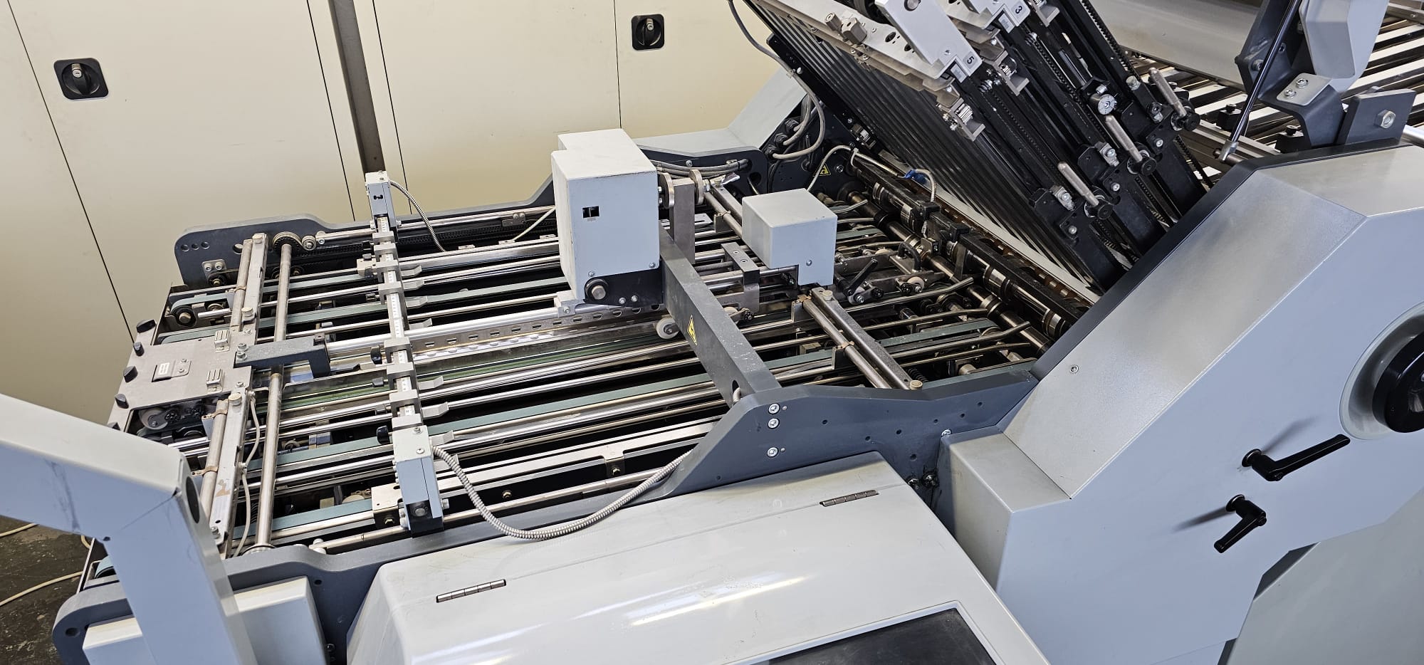 WhatsApp Image 2026-01-17 at 11.56.37